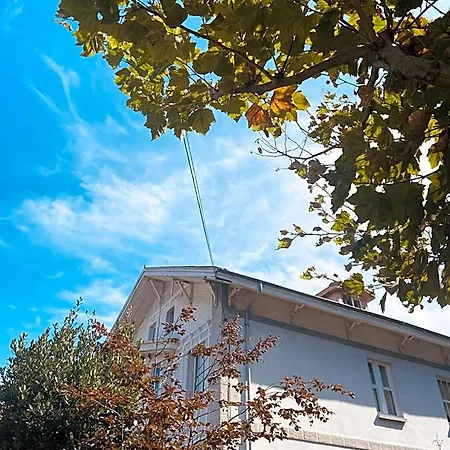 Alamar House * Salinas (Castrillon)