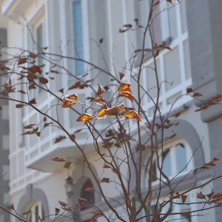 Alamar House Salinas (Castrillon)