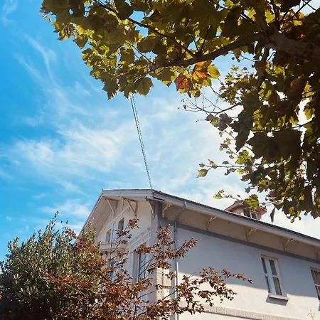 Alamar House بيت شباب ساليناس