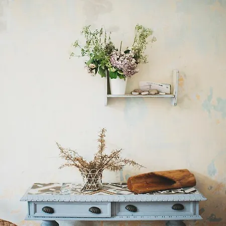 Alamar House ساليناس