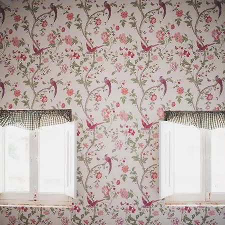 بيت شباب Alamar House